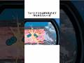 有名ゲームとお金のゲーム #きー坊ゲーム #フォートナイト #shorts