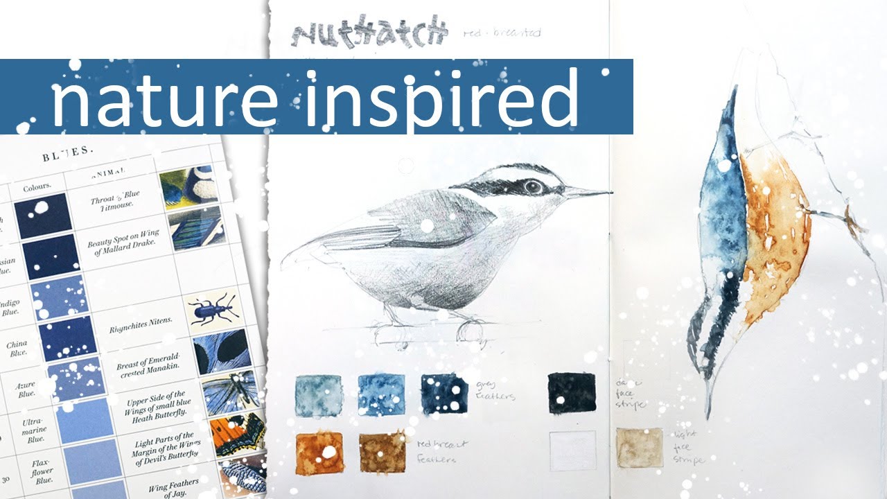 Nature's Palette Book Studies