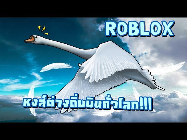 Roblox Feather Family หงสตางถบบนทวโลก ไลฟสด - roblox feather family albatross update