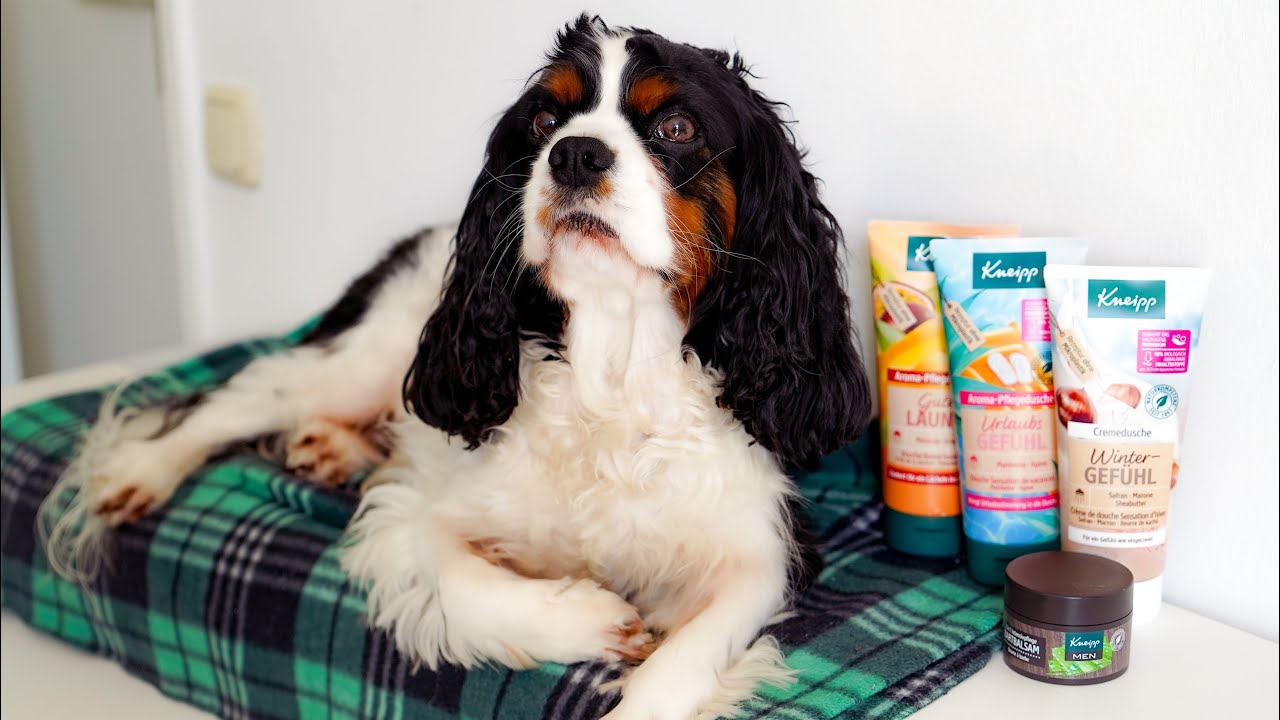 Распаковка из Kneipp, прогулка с Кавалером