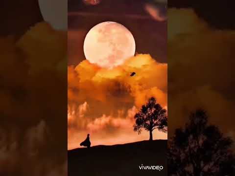 나에게 그대만이 (정예은) 라이브녹음 (원곡 가수 유해준)