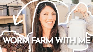 How to Maintain a Worm Farm & Feed Worms | Week One Update | Hey Its a Good Life