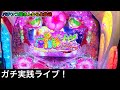 沖海5桜verをパチンコ屋さんでライブ配信！【Pスーパー海物語in沖海5桜ver199】（ガチ実践ライブ2021/12/11）【333日目夜】