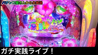 沖海5桜verをパチンコ屋さんでライブ配信！【Pスーパー海物語in沖海5桜ver199】（ガチ実践ライブ2021/12/11）【333日目夜】