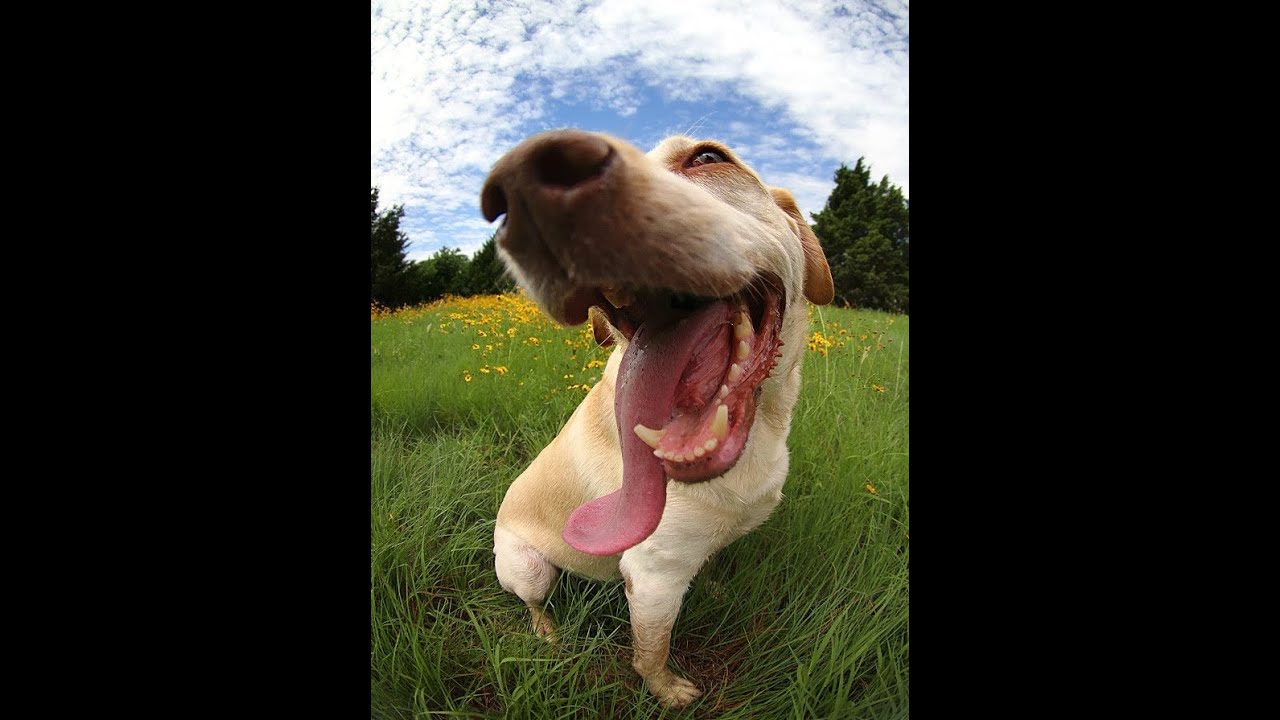 Say the word on beat 