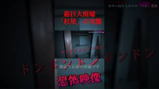 杉屋怪奇ファイル② #ライブ #恐怖 #怪現象