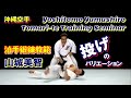 投げのバリエーション 沖縄角力 空手道 山城美智 泊手鍛錬教範 karatedo tomari-te training nage kumite okinawa