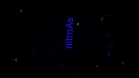 INTRO NITRO LIKE LIKE