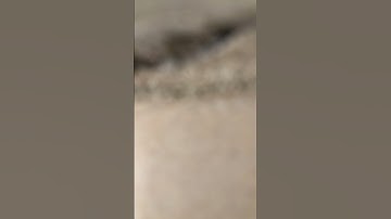 أهوال يوم القيامة "سورة القارعة"
