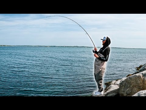 Catching Stripers, Bluefish, Fluke with Light Tackle off Long Island Waters!