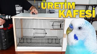How To Make Budgie Breeding Cage