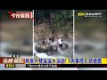 無視外雙溪溪水湍急！ 3男攀爬石頭嬉戲@newsebc