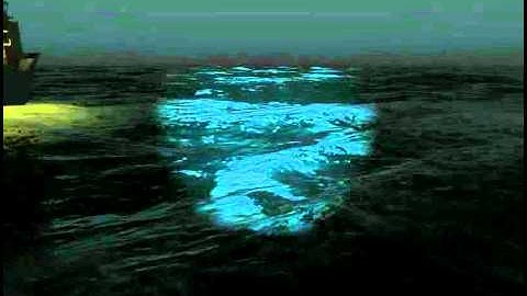 Job\SeaViewR6: making dynamic lights for trainer visual