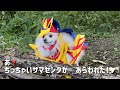 可愛いポメラニアンがポケットモンスターソードシールドのポケモン【ザシアン】【ザマゼンタ】【ヒバニー】になってみた♪