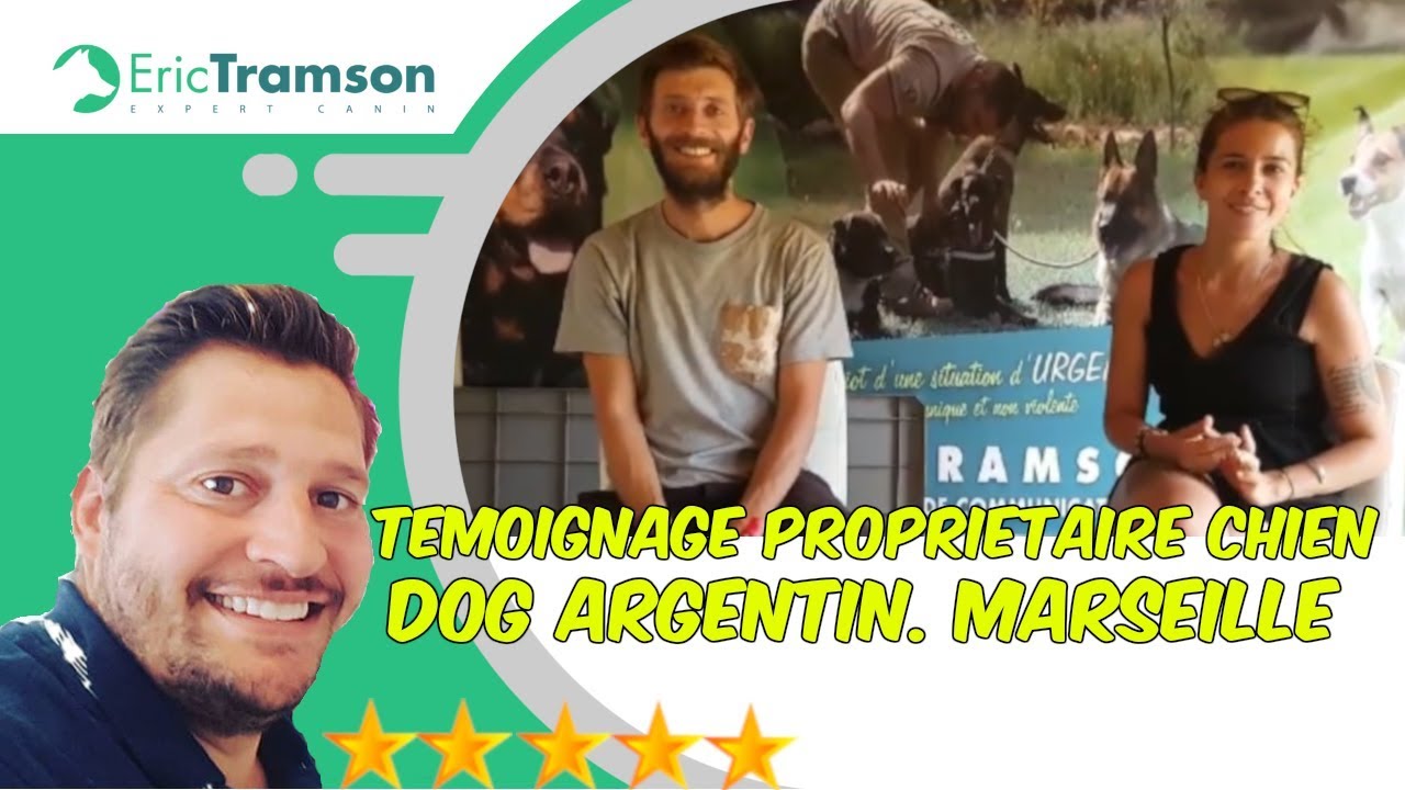 TEMOIGNAGE PROPRIETAIRE CHIEN MARSEILLE/DOG ARGENTIN/FORMATION ERIC TRAMSON - YouTube