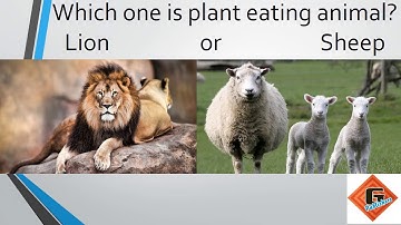 Gohar Science Book 2, Chapter 3, Lecture 2