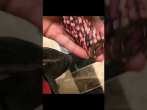 Crapless Craps at Riverwind Casino in Oklahoma #casino #bubblecraps #oklahoma #gambling
