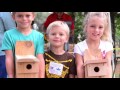 BirdWatching 101 and Eastern Bluebird nest box building BirdWatching 101 and Eastern Bluebird nest box building