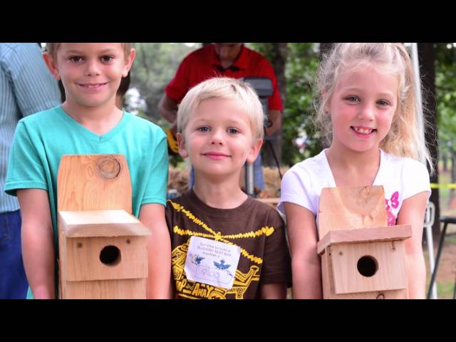 Watch BirdWatching 101 and Eastern Bluebird nest box building on YouTube.