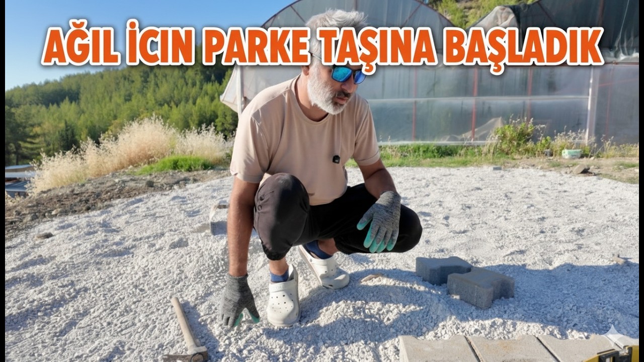 Ağıl Yapımına Başladık! Parke Taşı Döşeme – Mantar Yok Ama İş Çok!