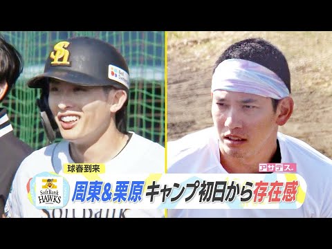 Baseball spring arrives: Shuto and Kurihara make their presence