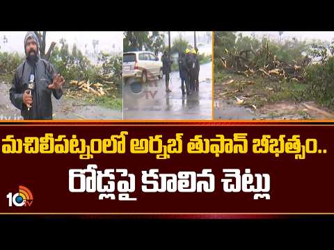 Arnab Cyclone Effect On Machilipatnam | మచిలీపట్నంలో అర్నబ్ తుఫాన్ బీభత్సం.. రోడ్లపై కూలిన చెట్లు - 10TVNEWSTELUGU