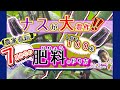 字幕】支柱、脇芽、肥料、病気。ナス１株で１００本収穫するコツ