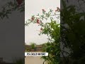 its called nature #travel #love #rain #brokenheart #shorts #youtubeshorts #viralshort