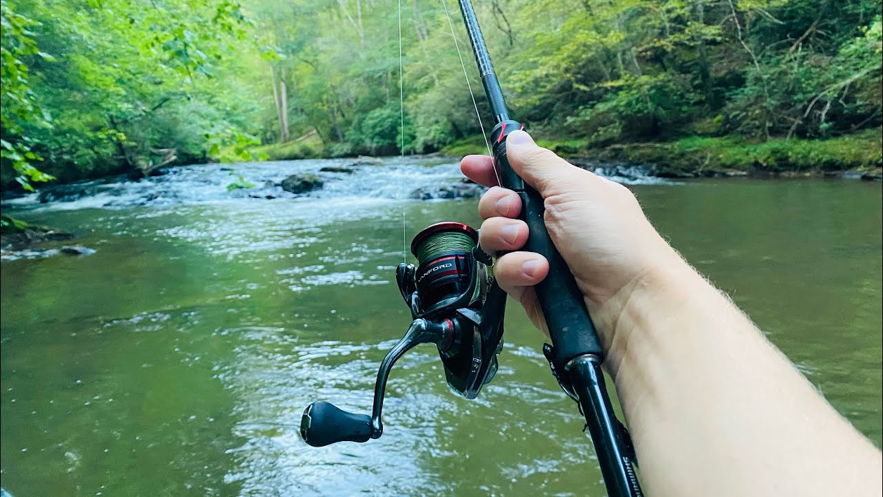 I Caught the Creek GIANT!! (BIG Bass)