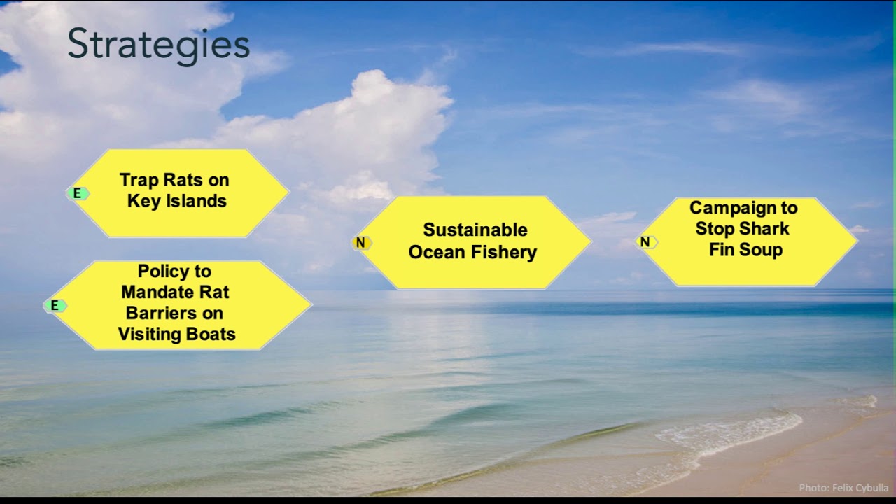 Module 0 | CASE STUDY INTRO | CS Step 3 | Online Course