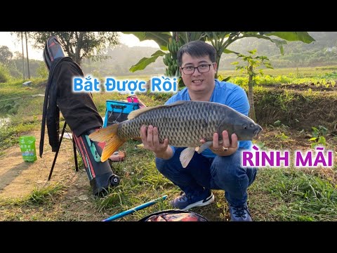 Test thực tế cần câu Handing Vinh Diệu - Câu được con Chép cũ - Ngọc Biển Fishing