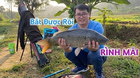 Test thực tế cần câu Handing Vinh Diệu - Câu được con Chép cũ - Ngọc Biển Fishing