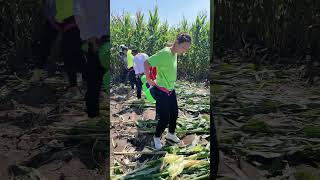 Rural Farmer #6731