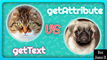 ✔ Selenium - getText vs getAttribute: Throwback | (Video 176)
