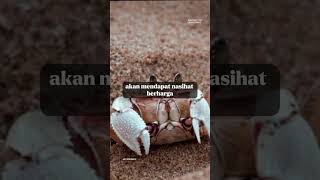 9 Arti Primbon Jawa Yuyu Masuk Rumah # #primbonjawaterpopuler # #faktamitos #kepiting #shot