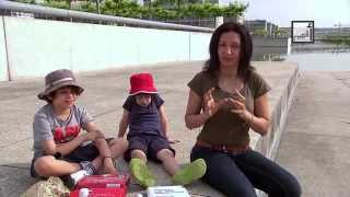 Alyaa Gad - First Aid: Introduction