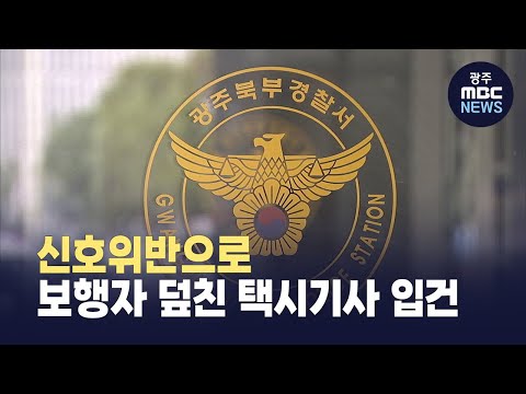 신호위반으로 보행자 덮친 택시기사 <strong>입건</strong>