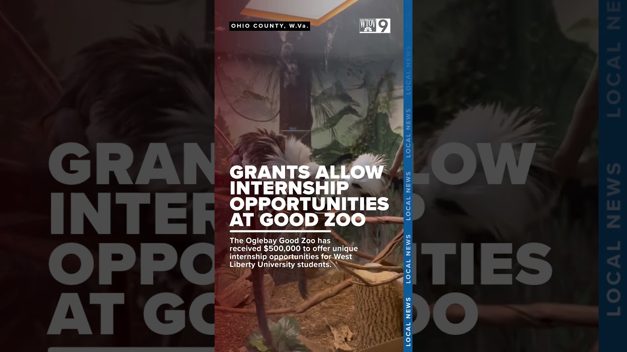 Zoo as a potential career path?