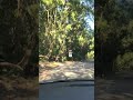 Maredumilli Road #ytshorts #shorts #travel #forest #nature #naturelovers #traveling