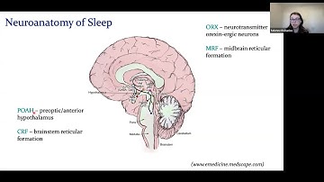 Lathisms Lecture: A Math Model of Human Sleep and Thermoregulation Effects