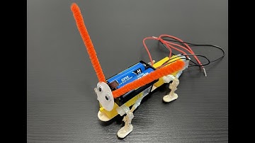 How to Make a Bug Robot!