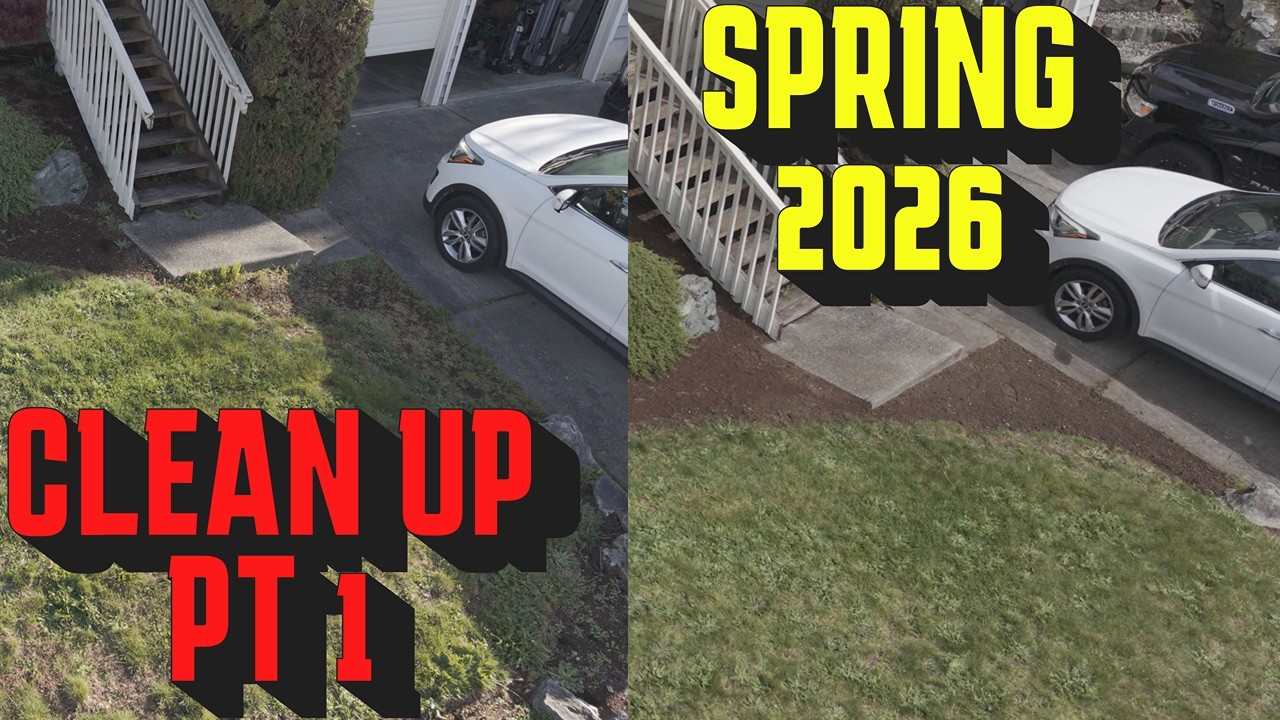 THIS YARD NEEDED SERIOUS WORK | Spring Cleanup Part 1 - YouTube