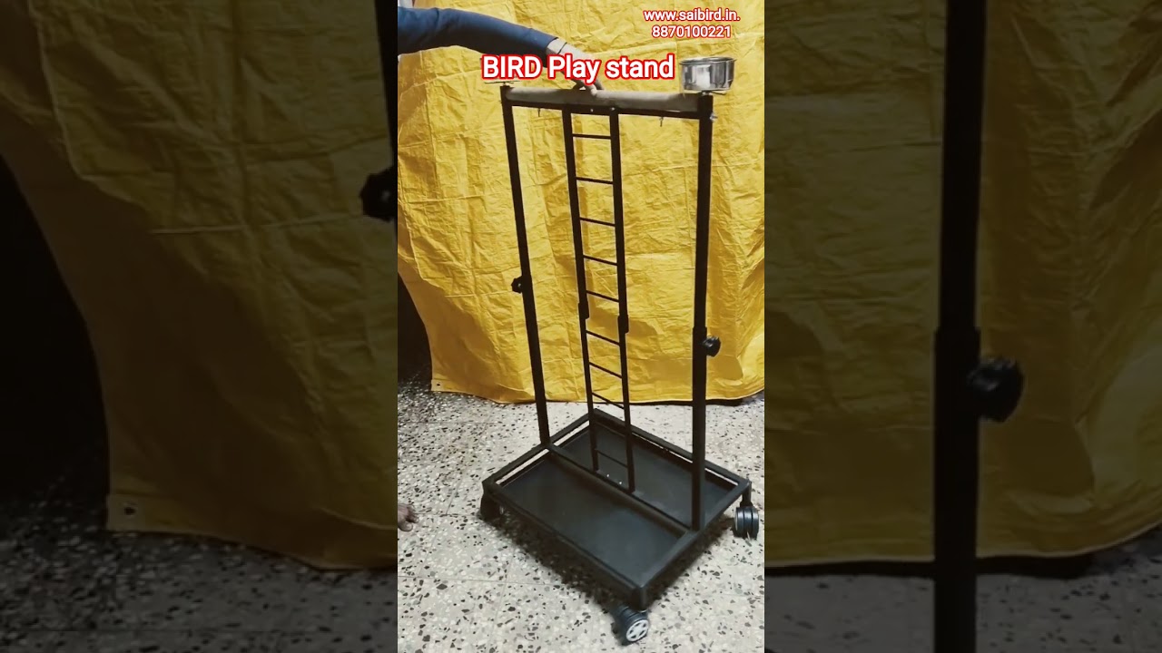 bird Play stand 
