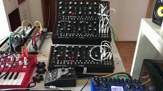 3 x Moog Mother 32 -  Self-playing Patch