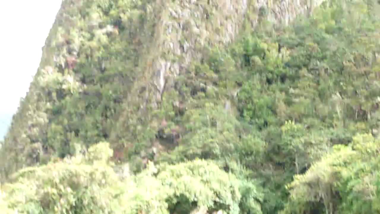 Machu Picchu, Peru; Azara's Spinetail is taking a bath in a mud 