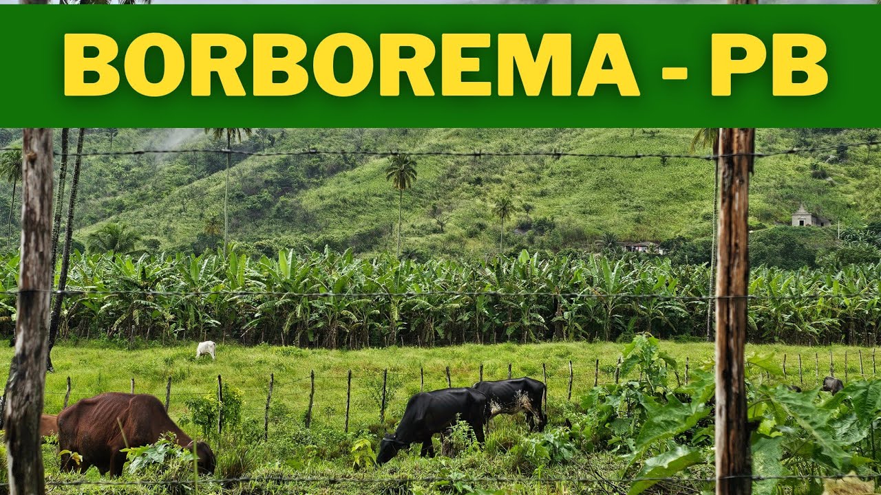Finalmente conheci a Cachoeira do Roncador! E você!! Conhe?