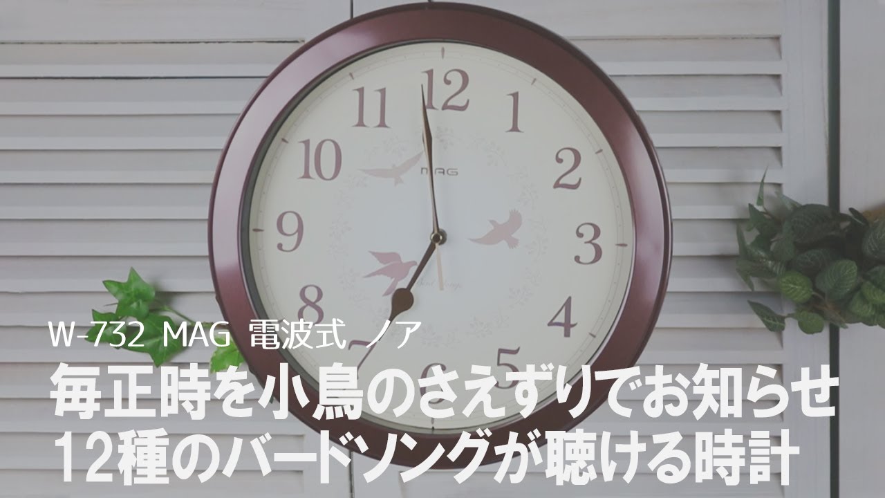 【鳴き声検証】毎正時小鳥のさえずりが鳴る時計の鳴き声を聞いてみた♪