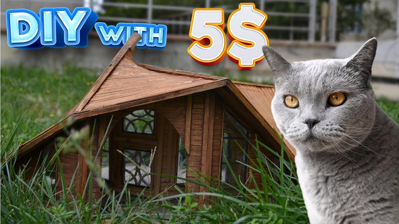 How to make Amazing Kitten Cat Pet House YouTube