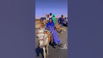 الفنانة ندي القلعة 