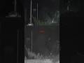 Bhoot wali video | bhoot video | horror video | live ghost captured